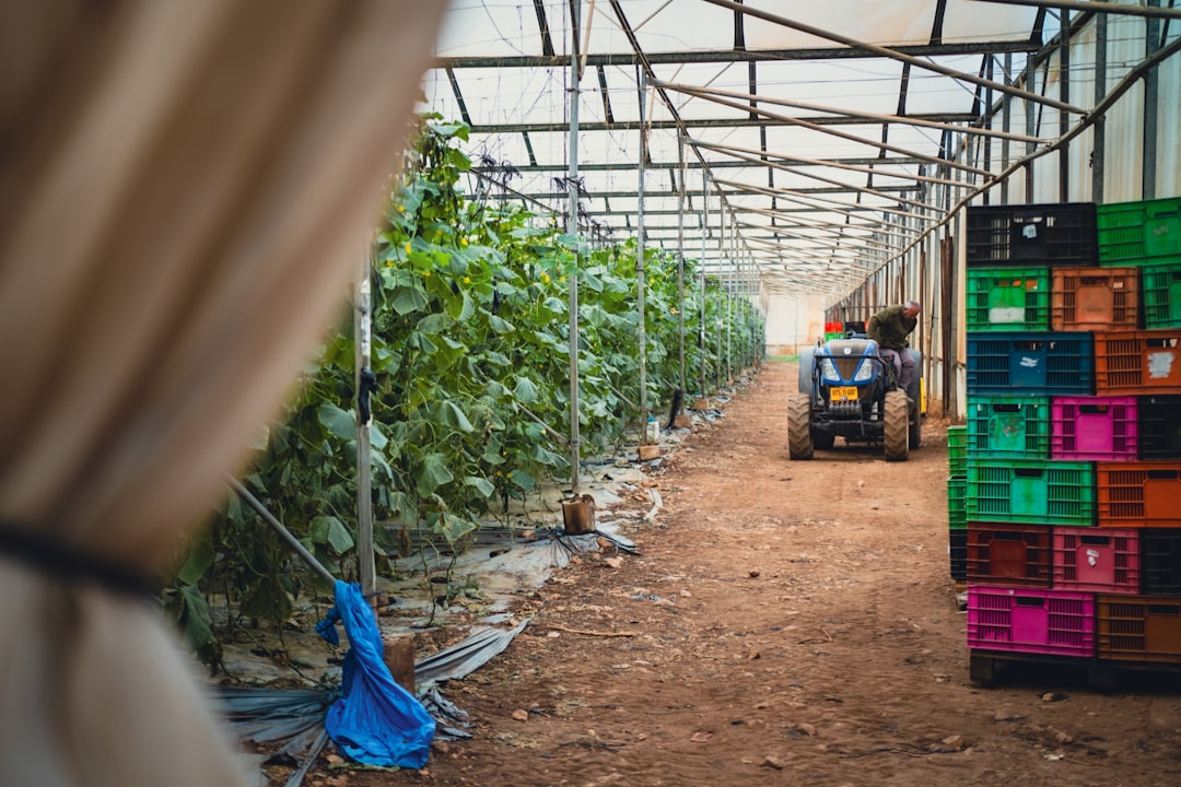 Greenhouse Materials